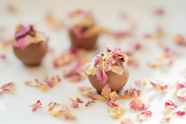 カジノ パーム スロッツ Android/iOS アプリ